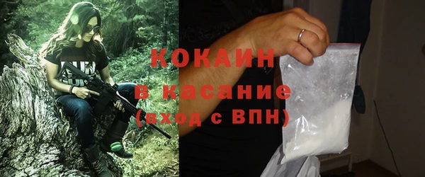 гашик Алзамай