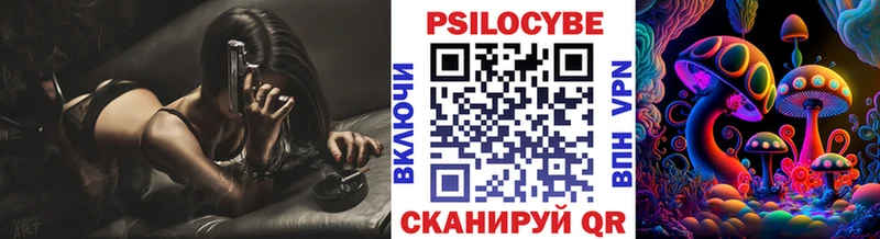 наркошоп  Тайшет  Псилоцибиновые грибы Psilocybine cubensis 