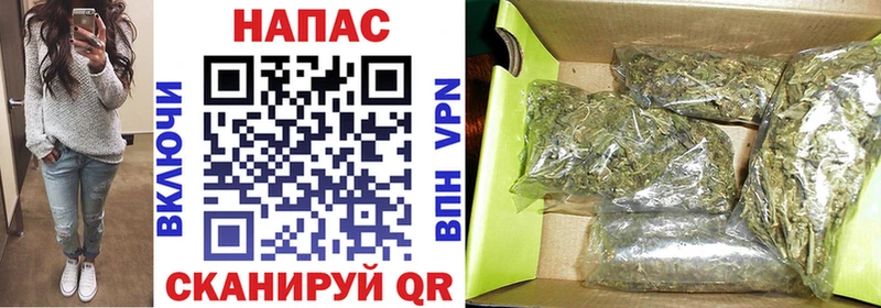 Конопля Amnesia купить наркотик Тайшет